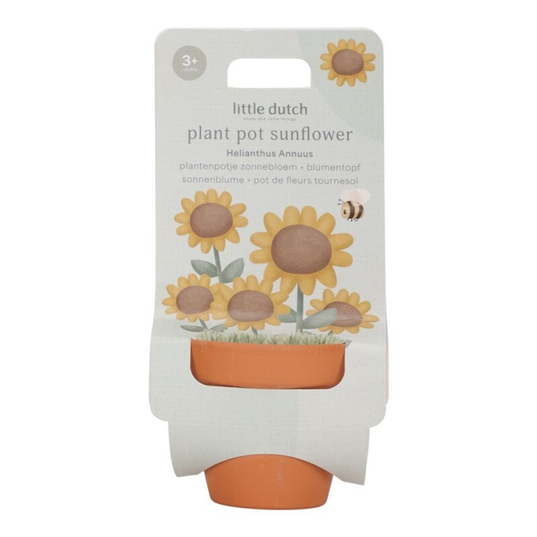 Elige tu Maceta Planta de Little Dutch