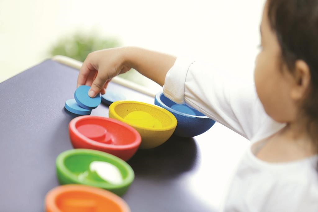 Taza Ordena y cuenta Plantoys
