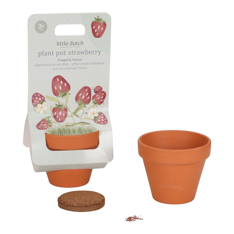 Elige tu Maceta Planta de Little Dutch