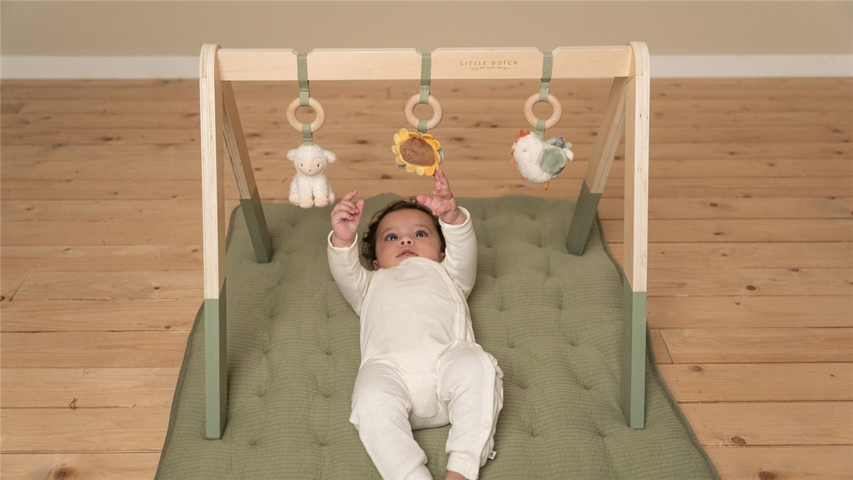 Gimnasio de madera Granja Little Dutch