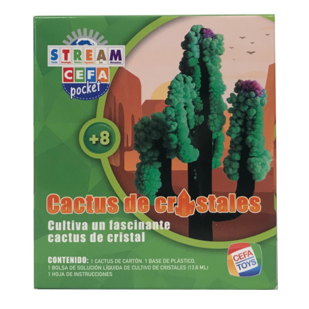 Experimentos Ciencia de Bolsillo Cefa
