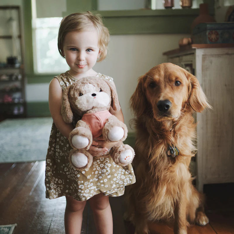 Honey Dinkum dog Olli Ella